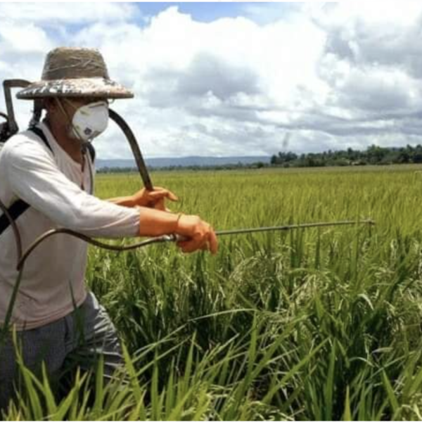 FETAR-RS e Fórum Gaúcho de Combate aos Impactos dos Agrotóxicos promovem audiência pública