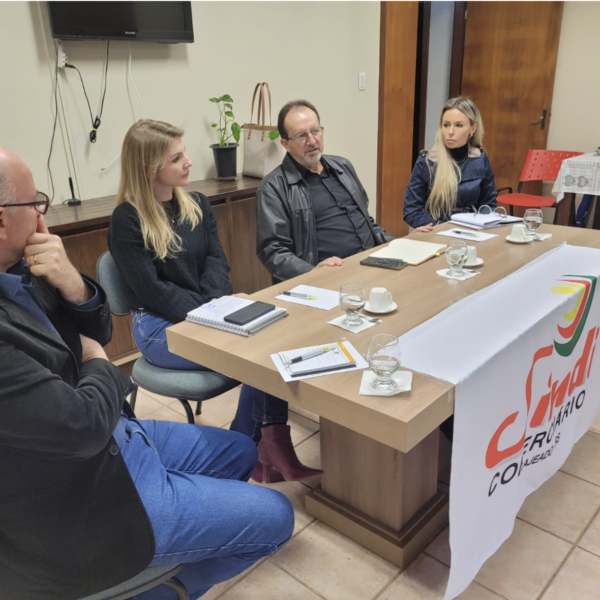 Movimento sindical do Vale do Taquari reune com Ministério do trabalho para fiscalizações na região