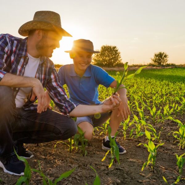FETAG-RS propõe a reformulação do Pronaf Jovem e reforça a importância da desburocratização do programa para ampliar o acesso da juventude rural ao crédito