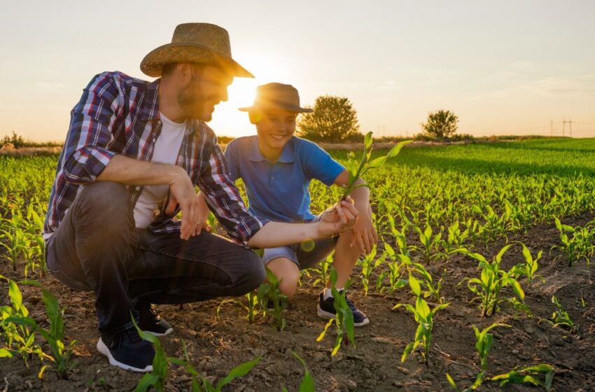 FETAG-RS propõe a reformulação do Pronaf Jovem e reforça a importância da desburocratização do programa para ampliar o acesso da juventude rural ao crédito