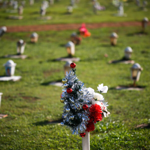 A responsabilidade da omissão e negacionismo: a urgente necessidade de investigação de Bolsonaro e aliados – Por João Ives Doti Junior