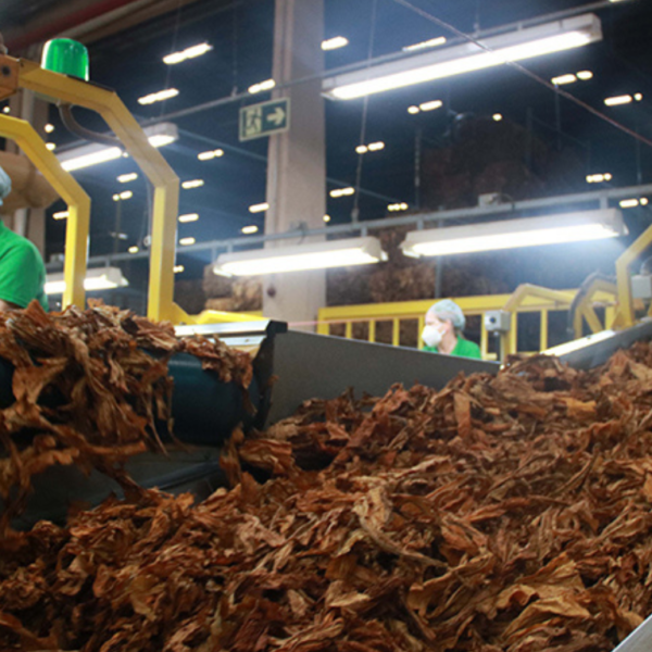 FETAG-RS cobra compromisso das indústrias em negociações do tabaco